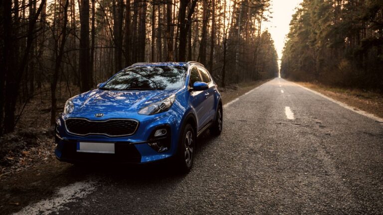 Electric Vehicles Defy Market Downturn as October Sales Dip